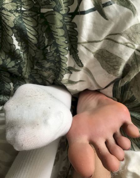 狼族盟约