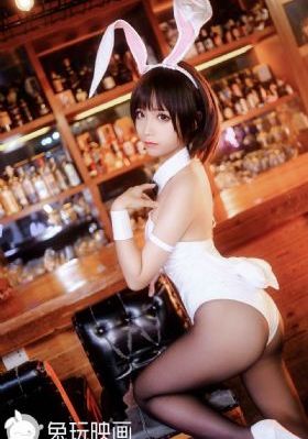 动物交配