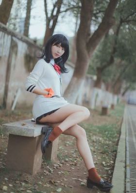 炽道电视剧全集免费观看